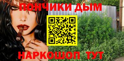 стаф Лесосибирск