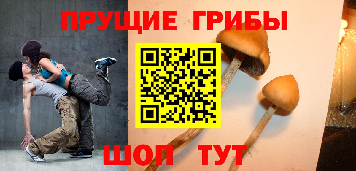 Галлюциногенные грибы прущие грибы  Вход с VPN  купить   Гусев 