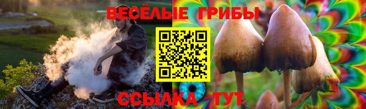 Псилоцибиновые грибы MAGIC MUSHROOMS Гусев