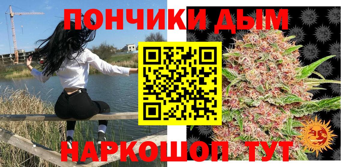 Каннабис марихуана Гусев